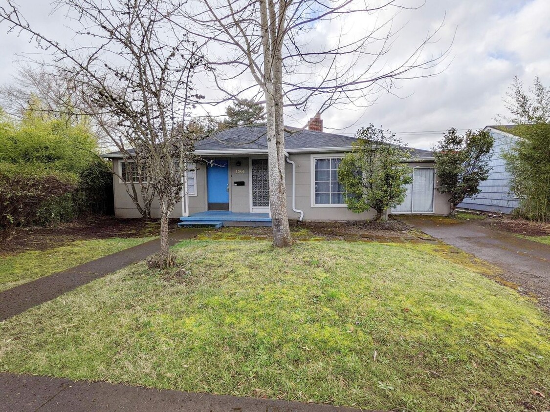 Primary Photo - 5+ bedroom South Campus house w/ large fen...