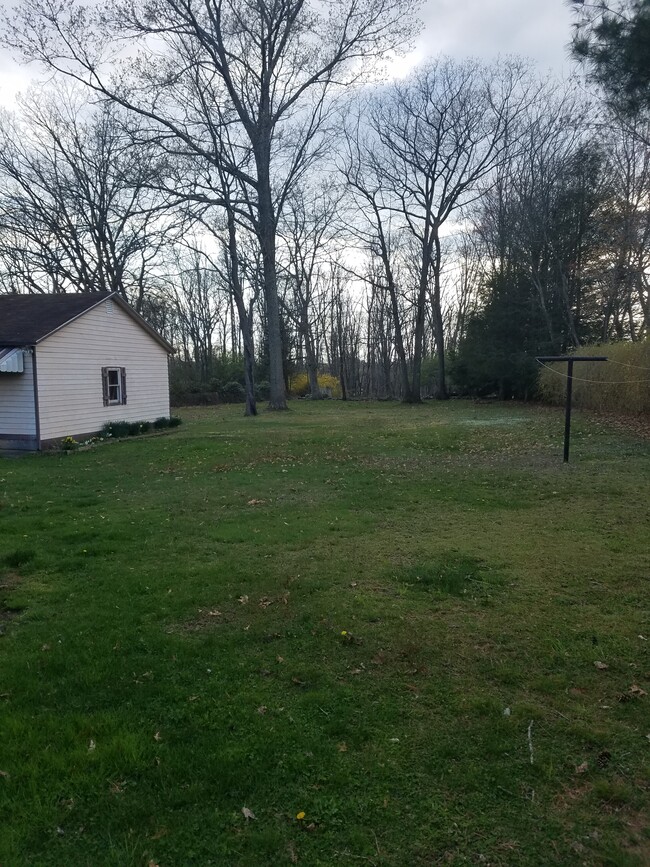 Back Yard - 295 Wood Dr