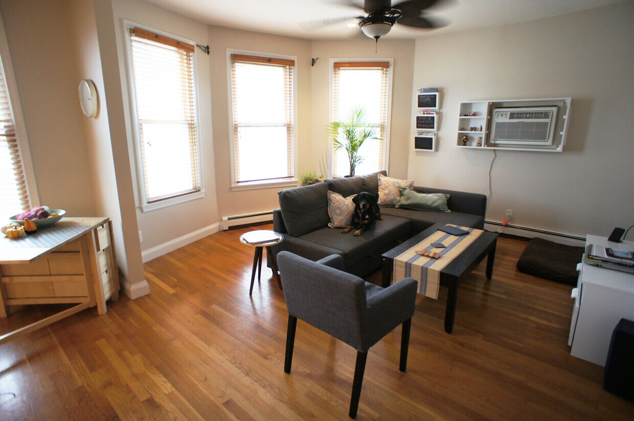 Primary Photo - 137 Dorchester St