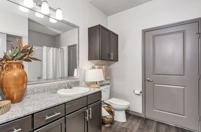 Casa de botellas en la calle principal - Baño - Bottle House on Main