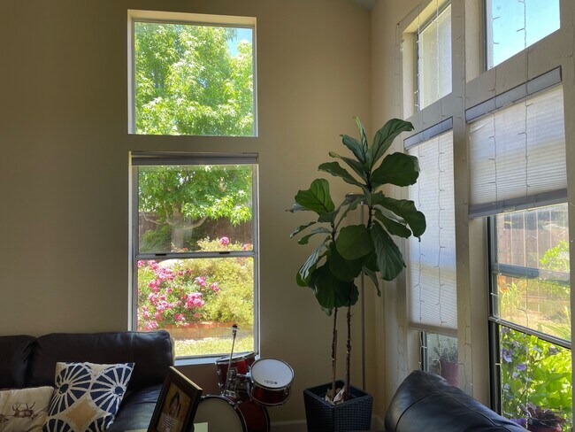 Building Photo - 2090 Aspen Ct