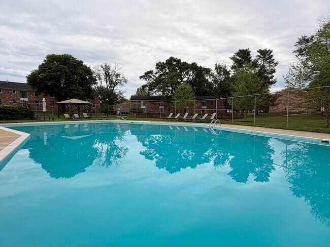Piscina - Brandon Ladd Apartments & Townhomes