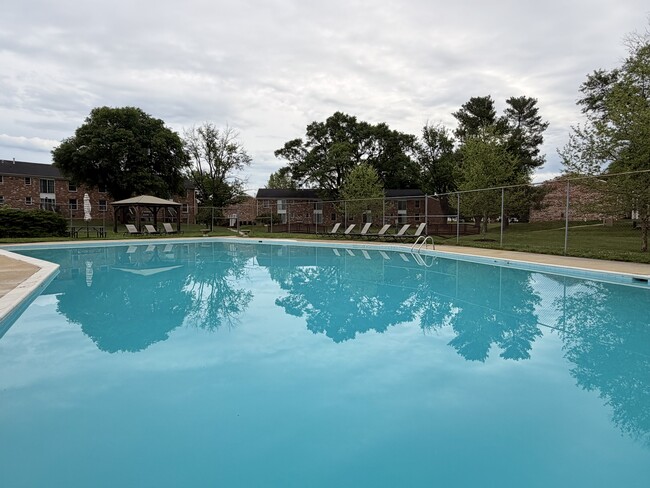 Pool - Brandon Ladd Apartments & Townhomes