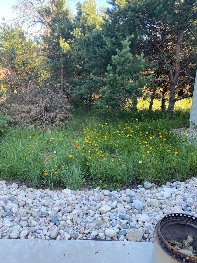 Building Photo - 6416 Crooked River Cir