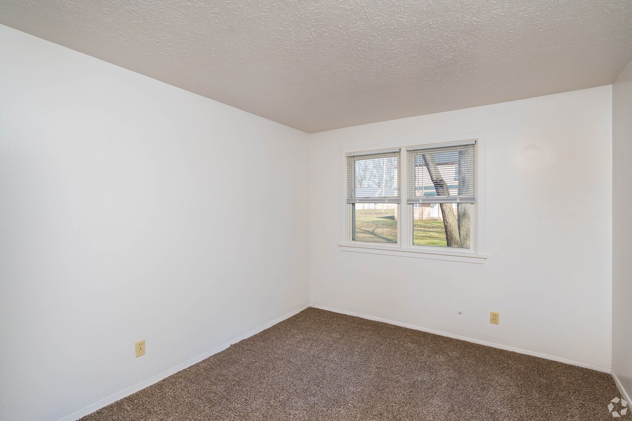 Park Lane Manor Apartments – photo 4