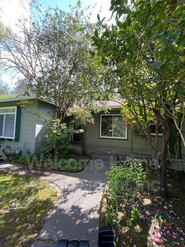 Photo - 2561 Olympic Blvd House