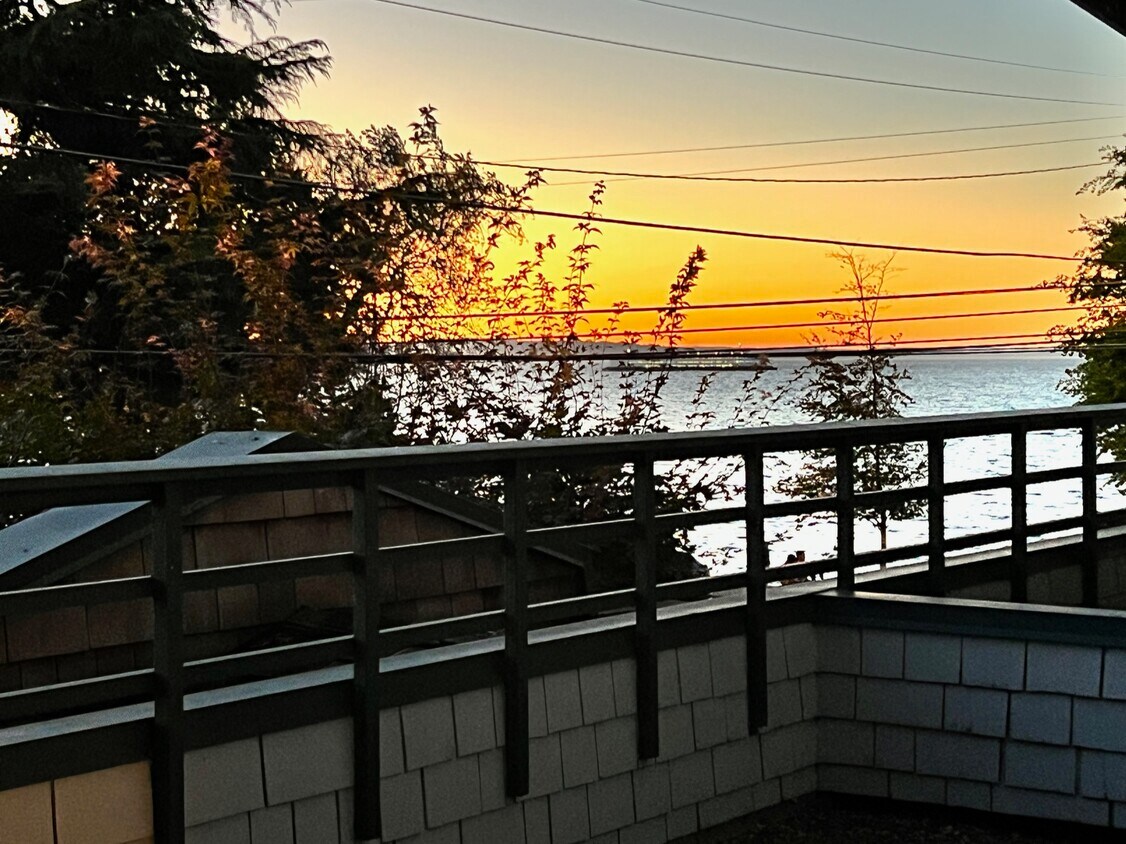 2920 Alki Ave SW Unit 206, Seattle, WA 98116 Condo for Rent in