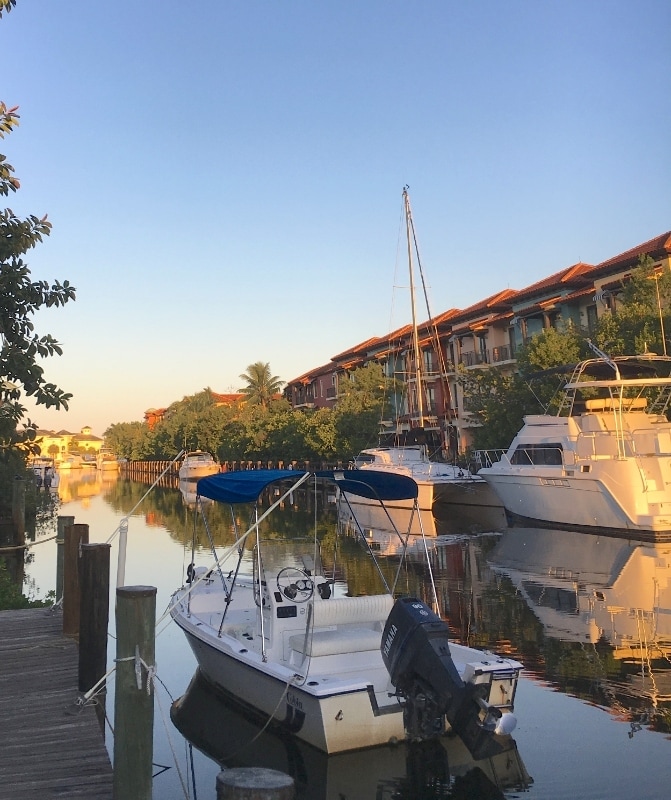 Primary Photo - 1525 Curlew Ave