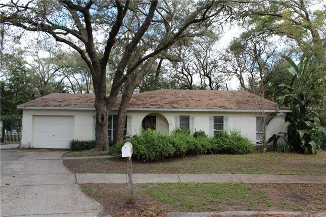 Primary Photo - 9611 Hidden Oaks Cir, Tampa, FL 33612