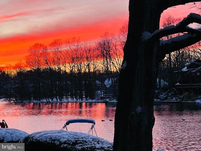 Building Photo - 11292 Harbor Ct