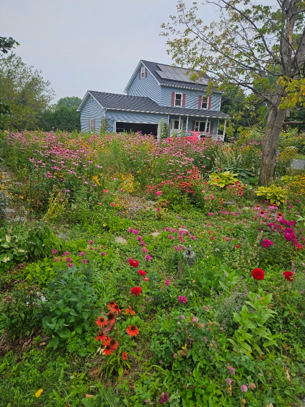 Photo - 6 Sunset Terrace House