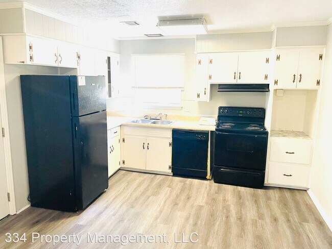 Building Photo - 3 br, 2 bath House - 605 Joryne Drive