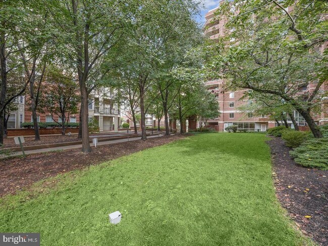 Foto del edificio - 1321 N Adams Ct