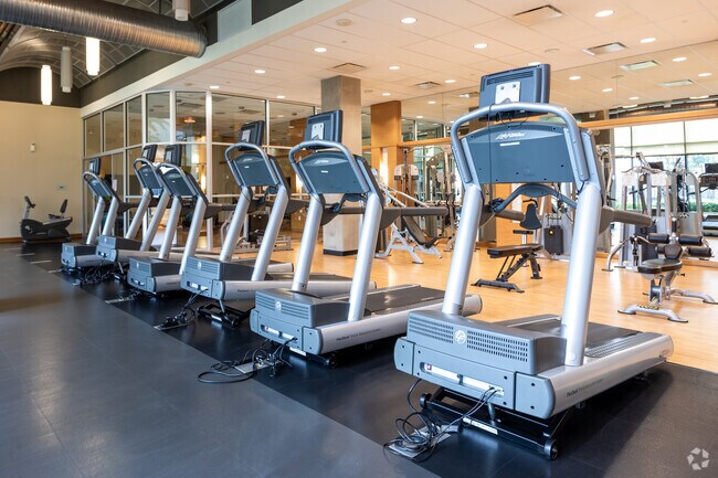 Gimnasio - Palisades of Towson