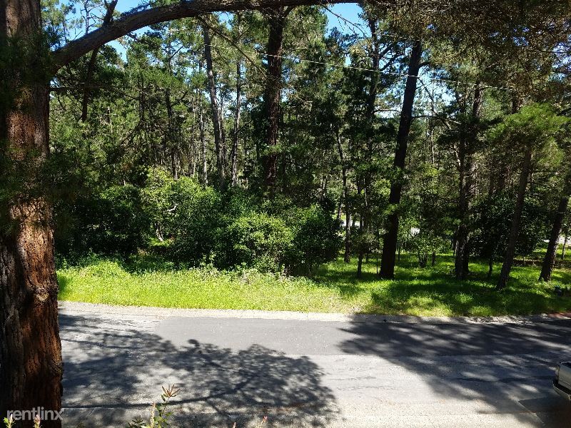 Foto del edificio - 1 br, 1 bath House - 0 Skyline Forest Dr