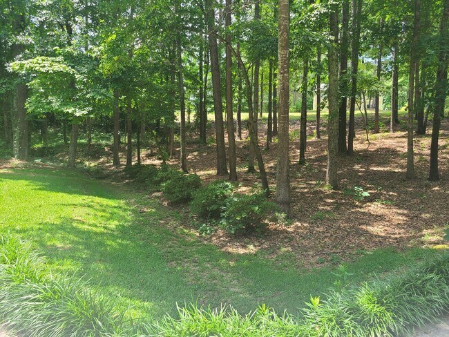 Building Photo - 127 Welcome Wood Dr