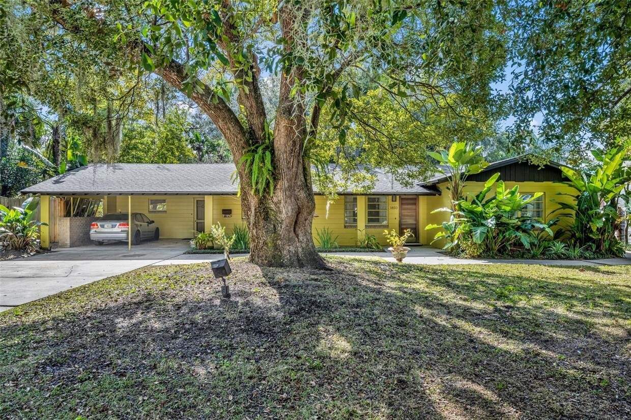 Primary Photo - Fabulous & Furnished in Winter Park!