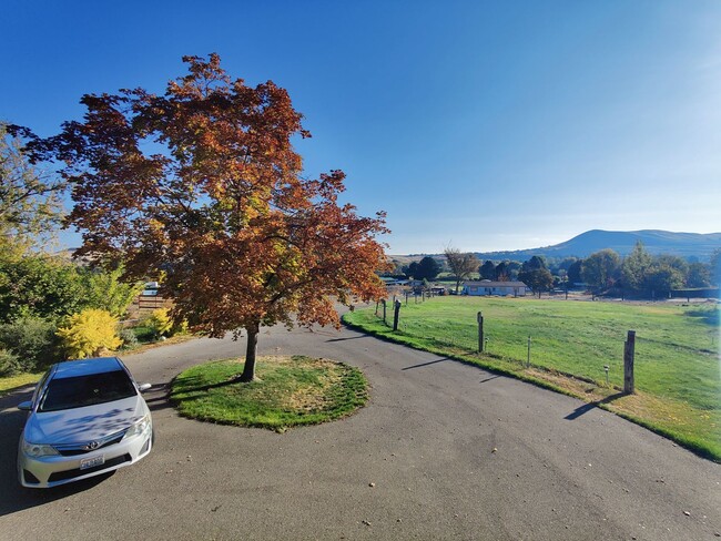 Foto del edificio - Country Setting with pasture for large ani...