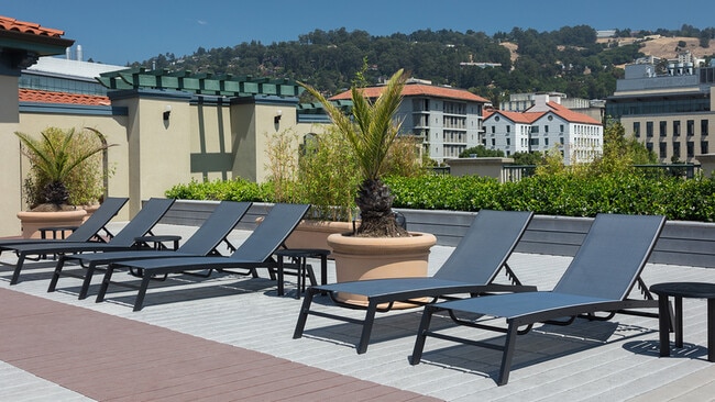 Lounge in the sun on the rooftop deck with chaise lounges and social spaces - Bachenheimer Apartments
