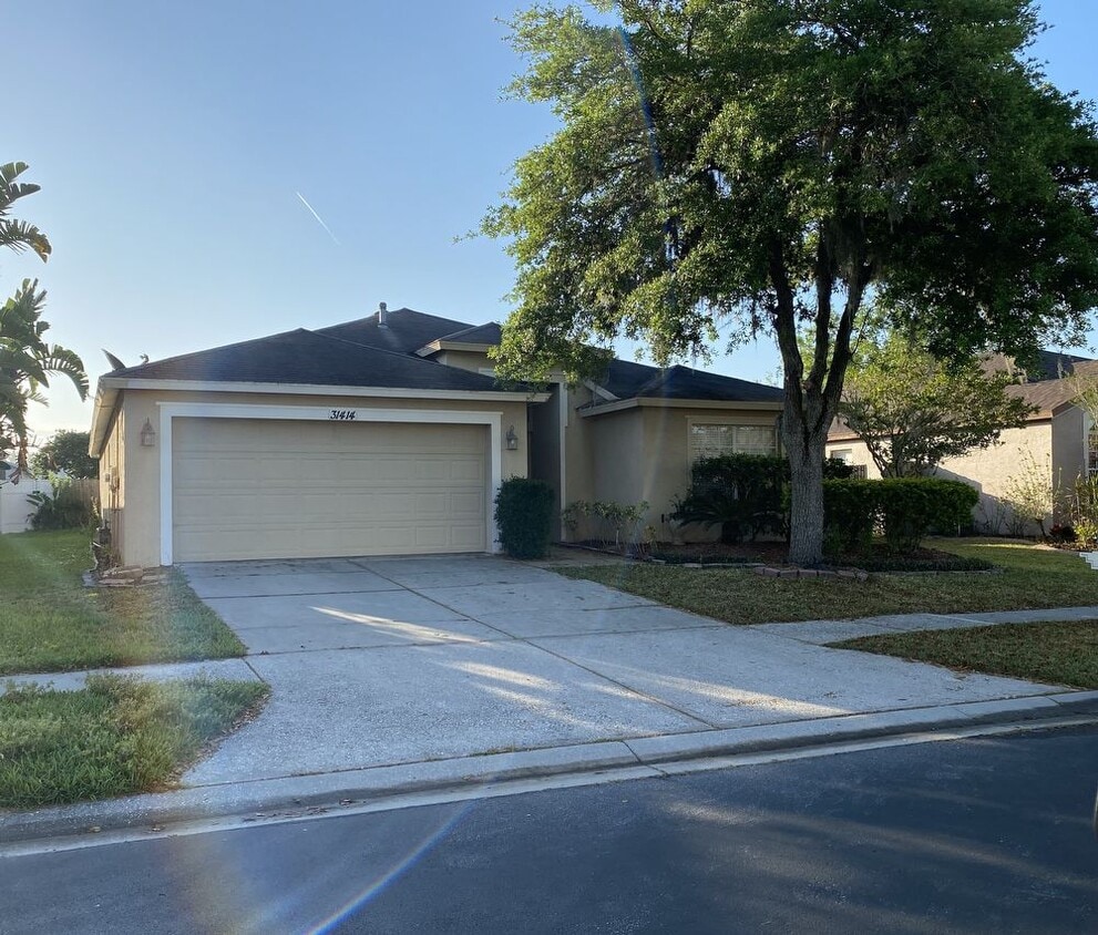 Rentals In Meadow Pointe Wesley Chapel