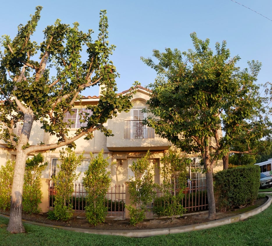Primary Photo - Rosemead