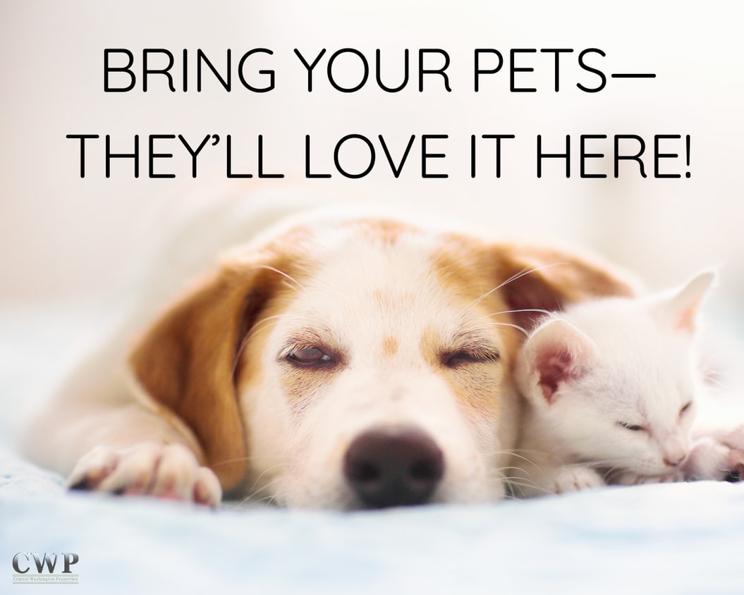 Building Photo - 4905 Prestige Ct