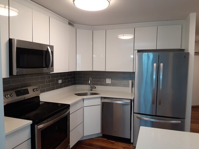 New Kitchen - 155 N Harbor Dr