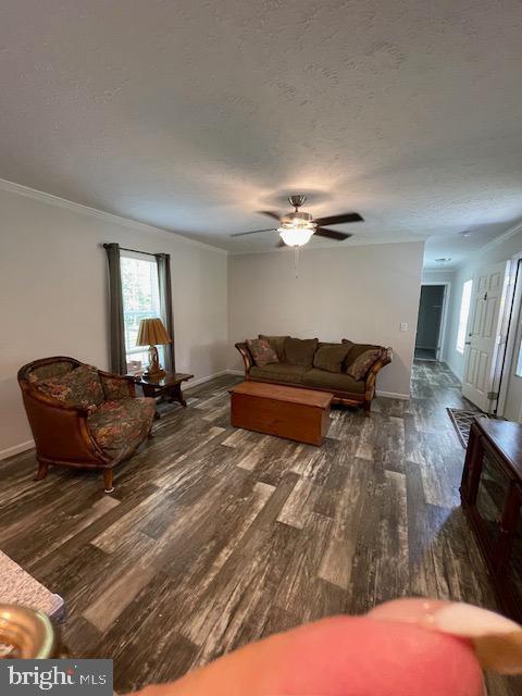 Foto principal - 535 Parrish Ln
