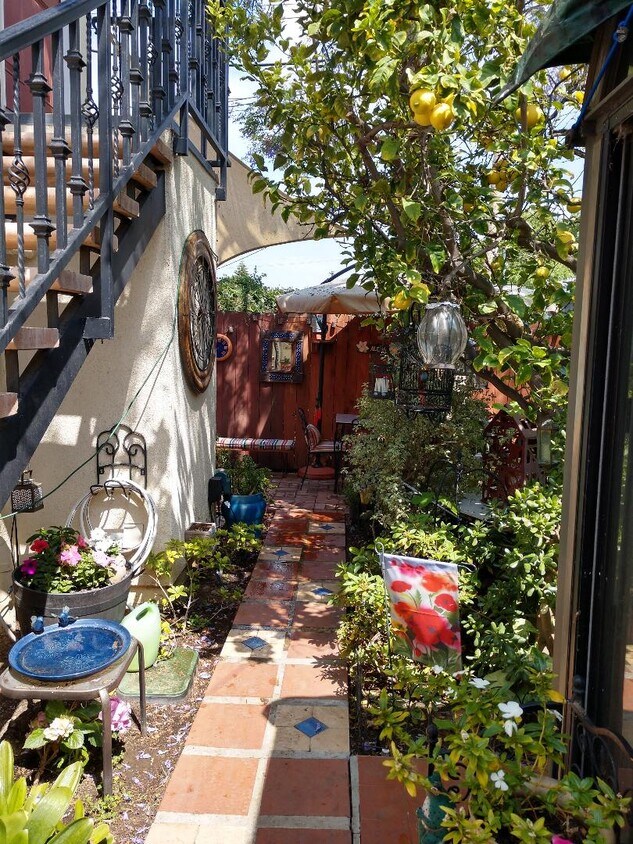 Garden - 3534 Wesley St