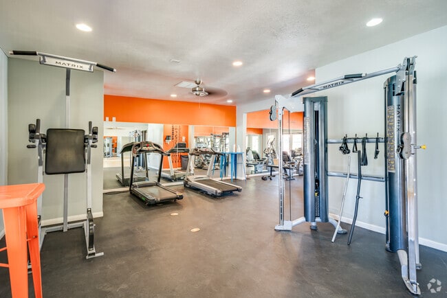 GIMNASIO - Valencia Park