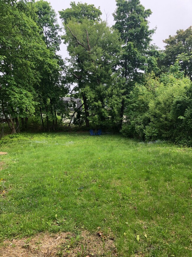 yard - 175 Oak St
