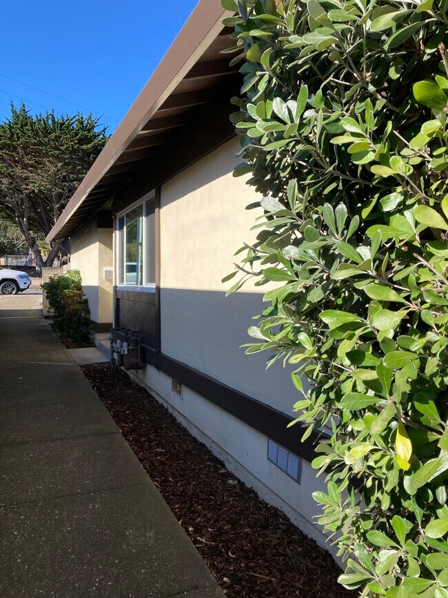 Building Photo - 811 Rosita Rd