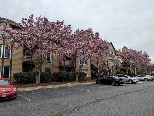 Old Towne Condos - 243 Loudoun St SW