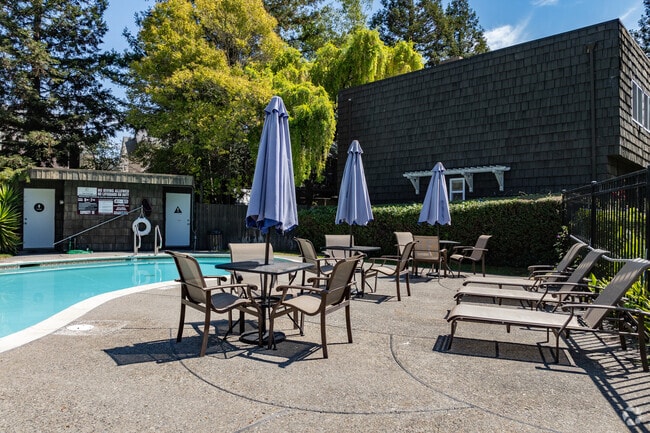 Pool Seating - Cedarwood Apartments
