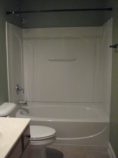 bath2 - 1160 Dawn View Ter