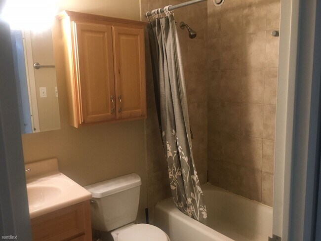 Foto del edificio - 1 br, 1 bath Condo - 211 E Ohio St APT 1502