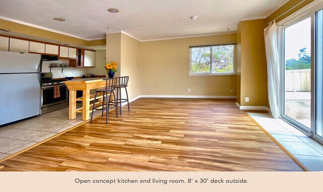 Open concept kitchen and living room with lots of light. - 65A Park Cir