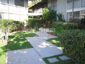 Primary Photo - 11133 ROSE Ave