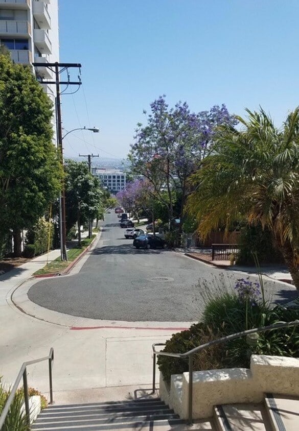 Primary Photo - One Bedroom One bath at fabulous Horn Plaz...