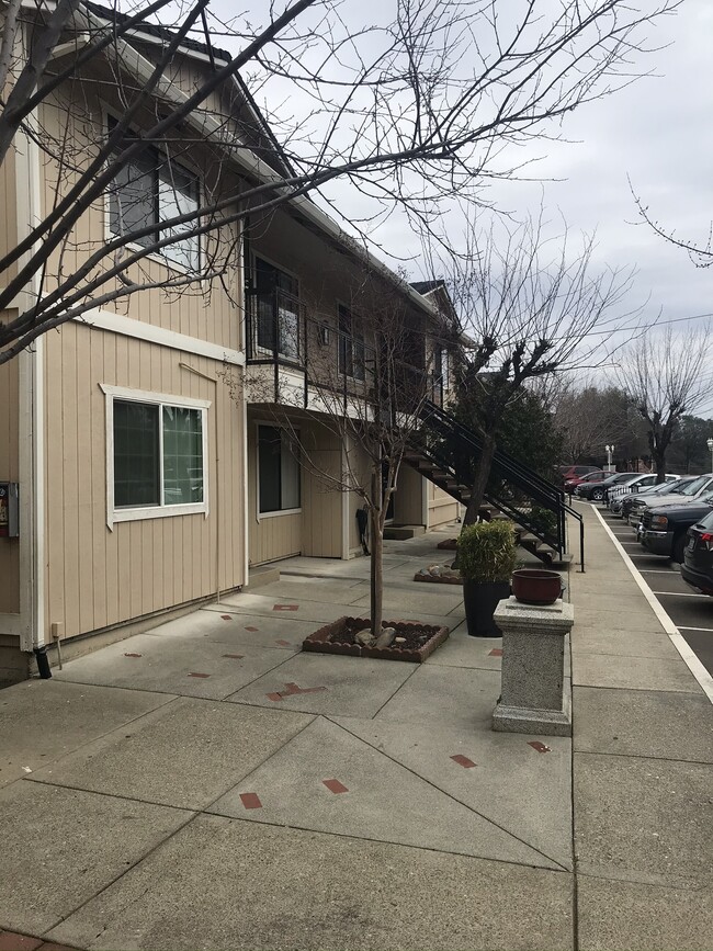 willow view apartments placerville