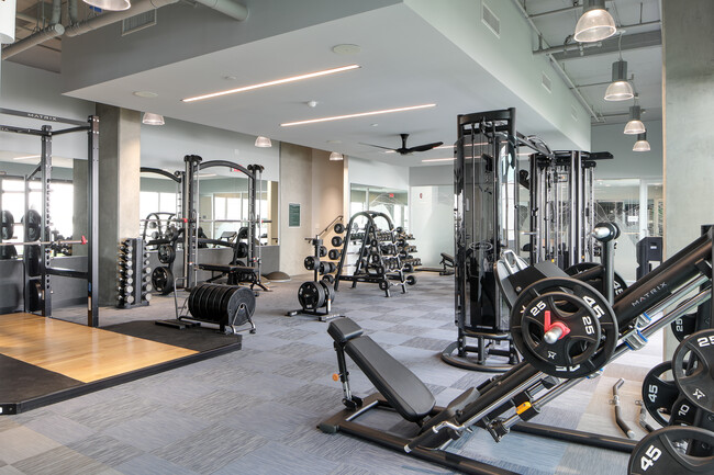 Olympic Gym Equipment - L+O Apartments