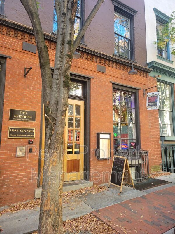 1309 E Cary St Unit 303, Richmond, VA 23219 Condo for Rent in