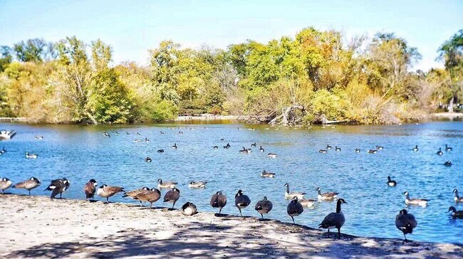 Nearby park with pond and ducks - 3553 S Damen Ave