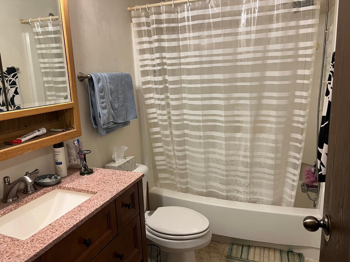 Updated Bathroom - 906 Coulee Trl