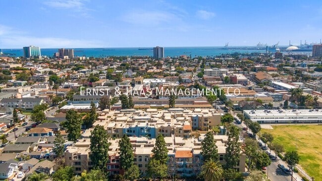 Foto del edificio - 550 Orange Ave