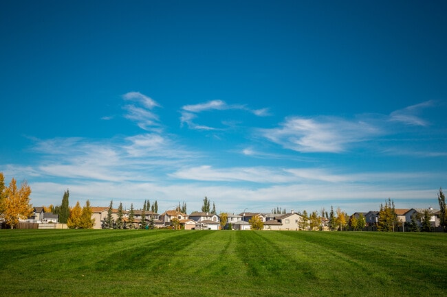 Building Photo - Lake Ridge 99 and 143 Apartments