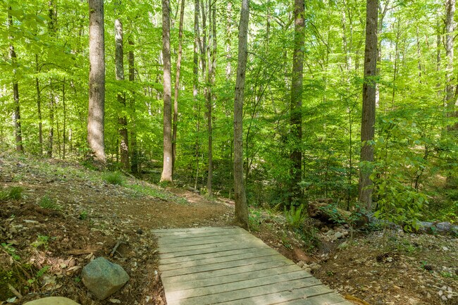 One of the Many Nature Trails Through the Dunwoody Nature Center.