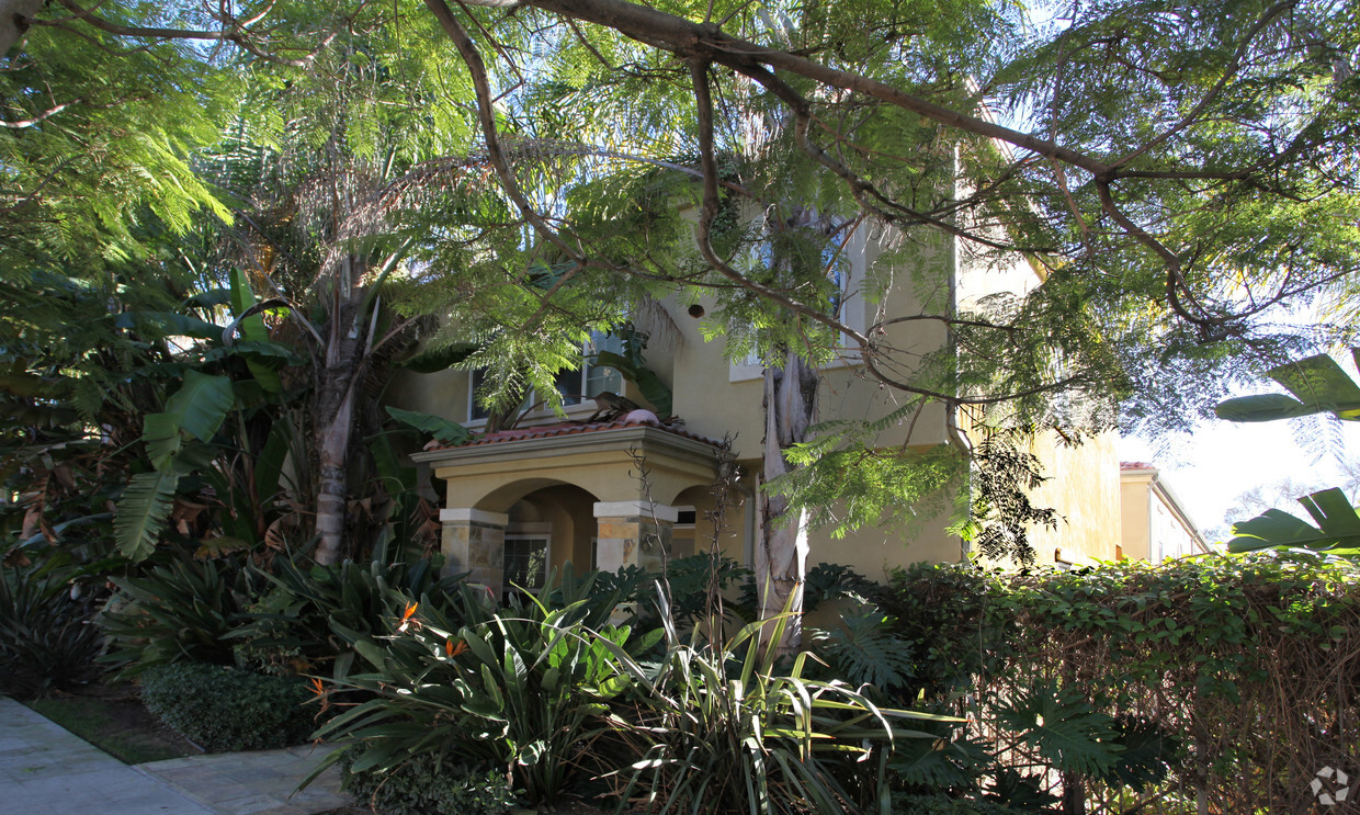 Primary Photo - Park Hill Townhomes
