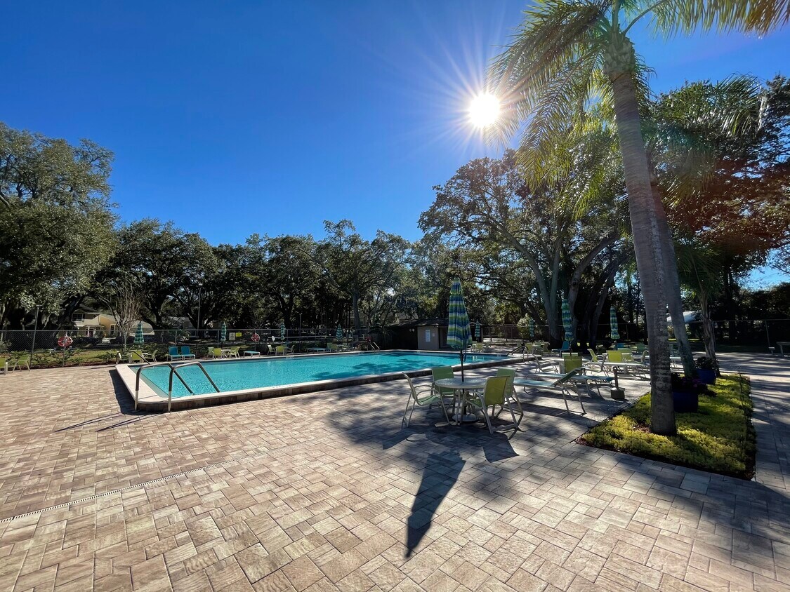 3295 Fox Chase Cir Unit 204, Palm Harbor, FL 34683 Apartments in