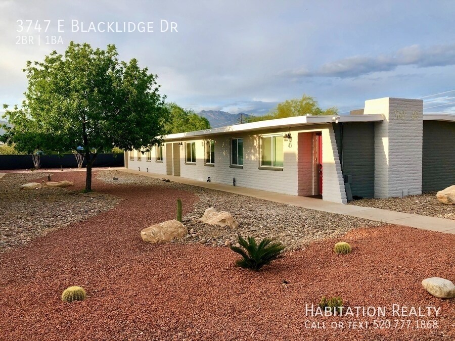 Foto principal - Beautifully renovated 2bd/1ba in Central T...
